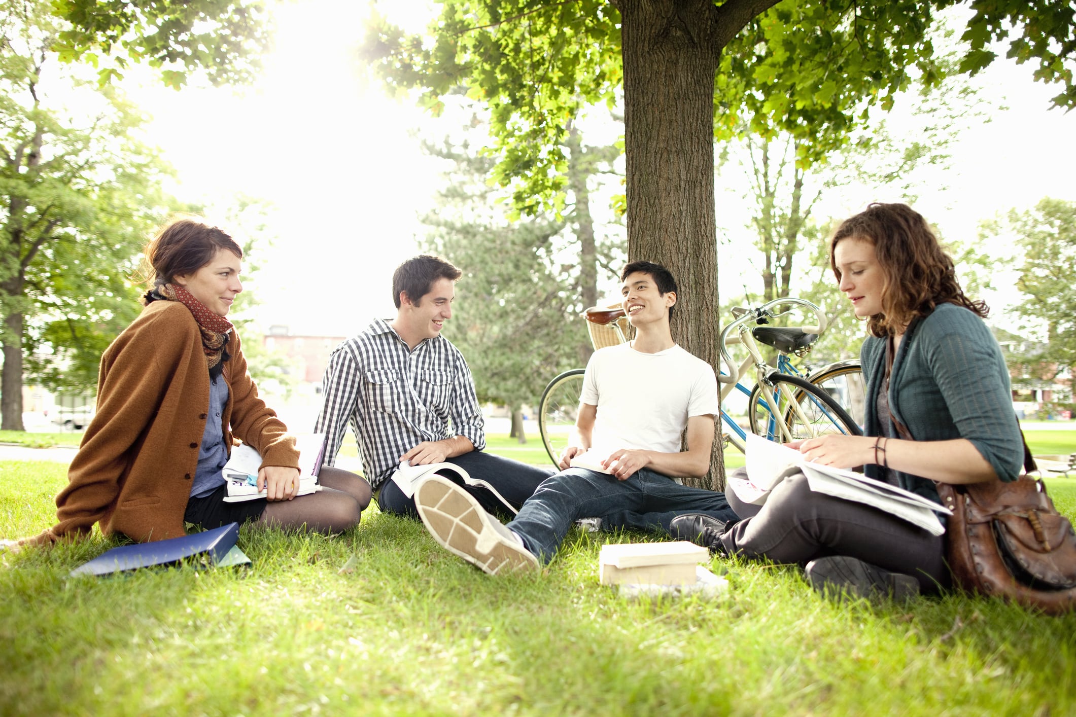Students hanging out outside under tree.