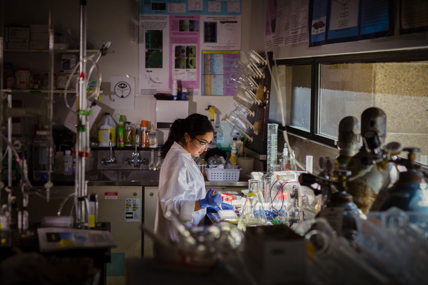 a student working in a laboratory