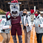 mascots