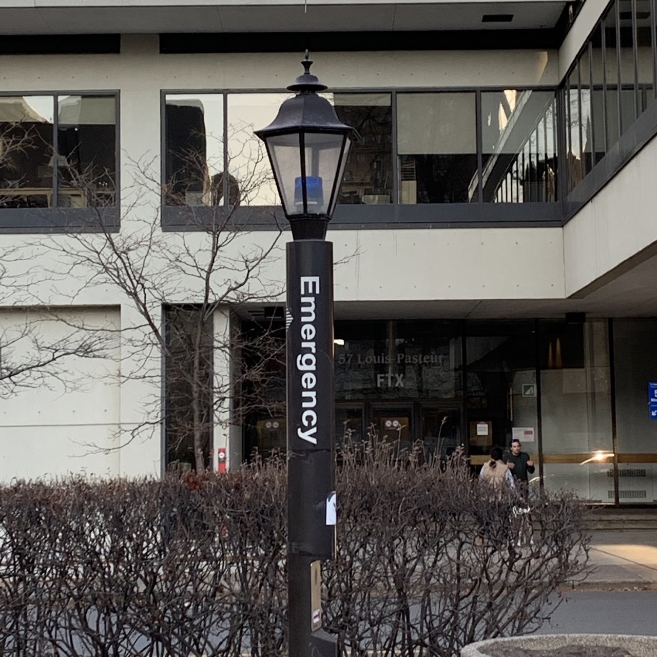 Emergency phone pole on campus