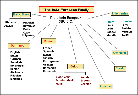 The Indo-European Family