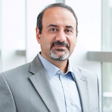 Bijan Raahemi