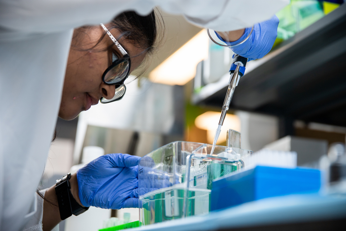 Student doing some tests on sample in a lab