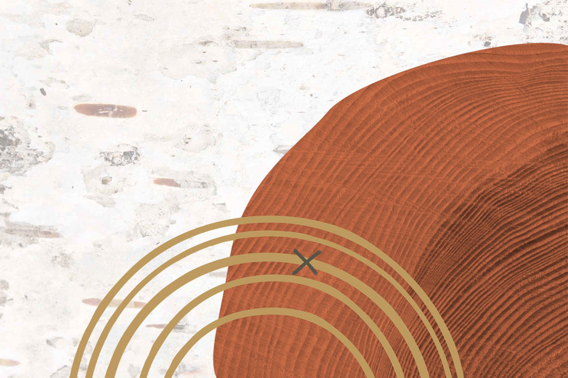 Hoop 2 graphic.