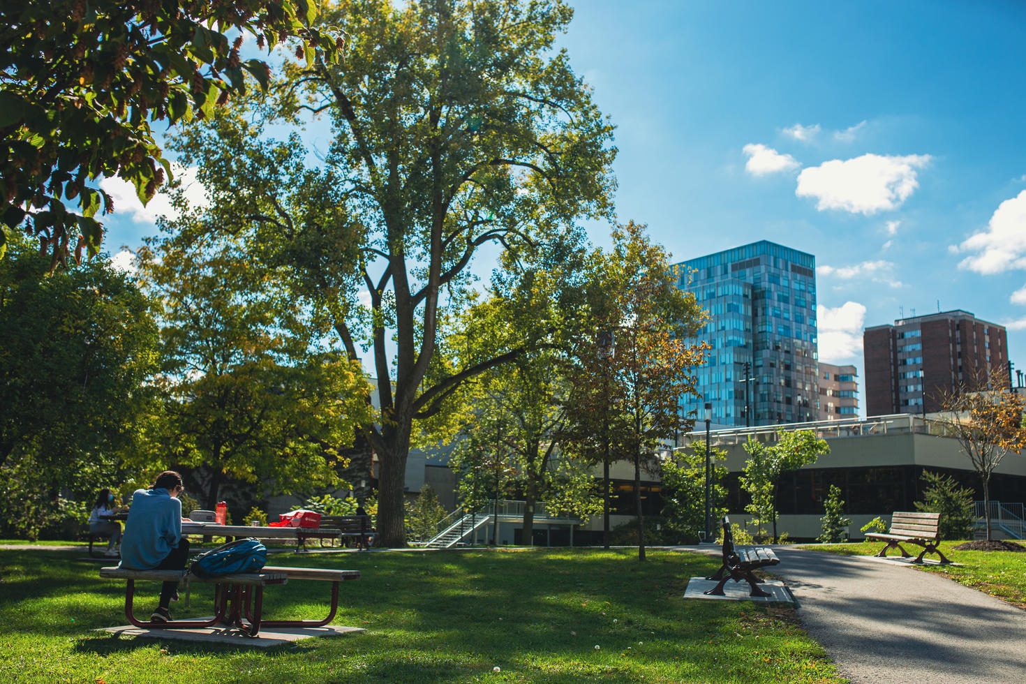 Campus in summer