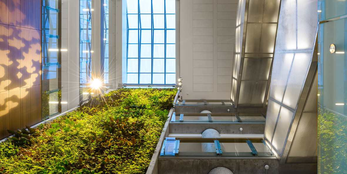 Social sciences building living wall
