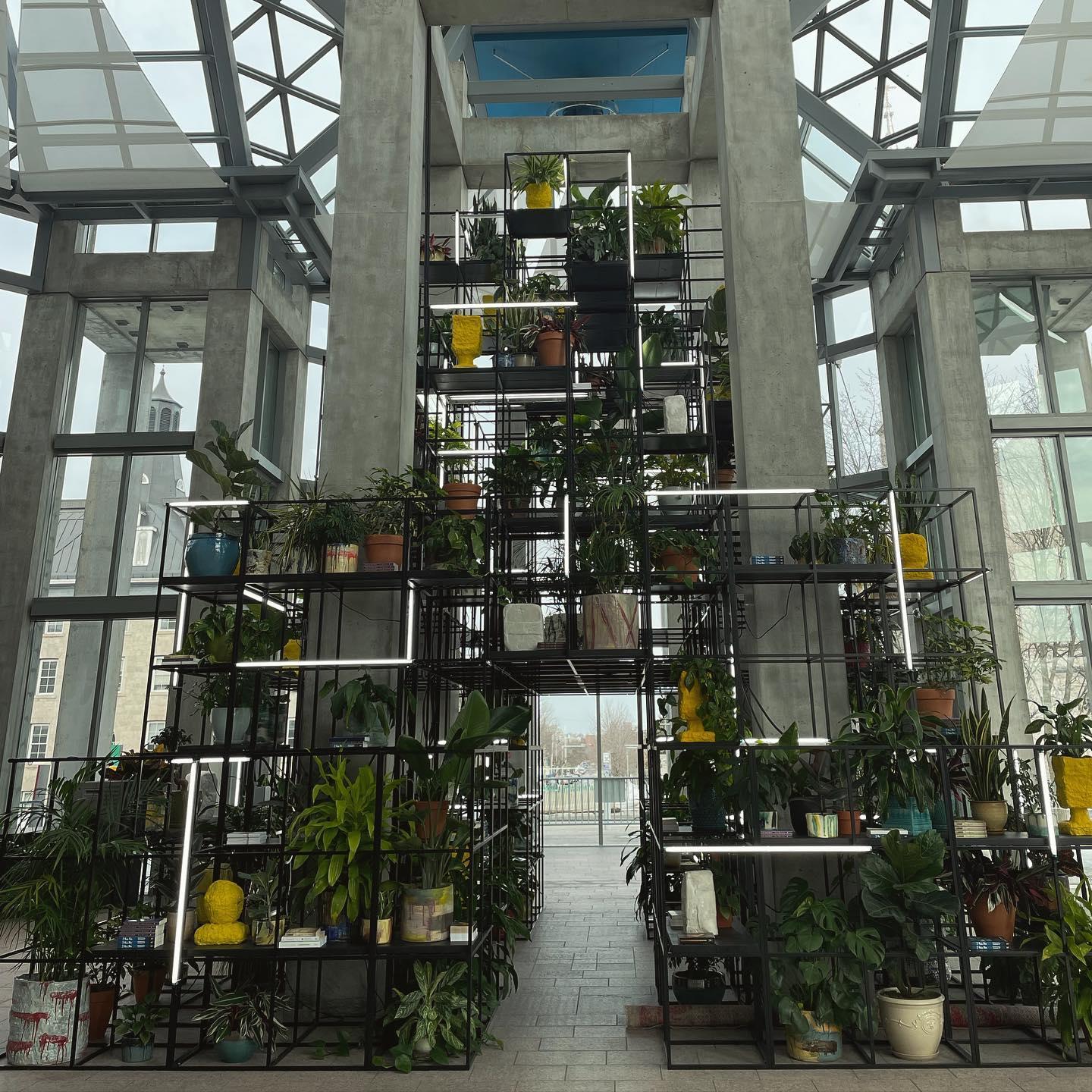 Art gallery installation featuring plants