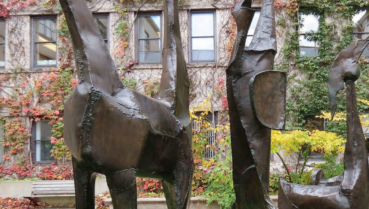 Art installation at uOttawa