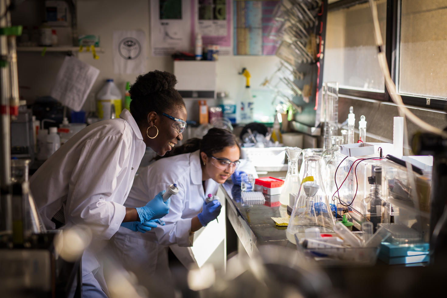 Researchers in their lab