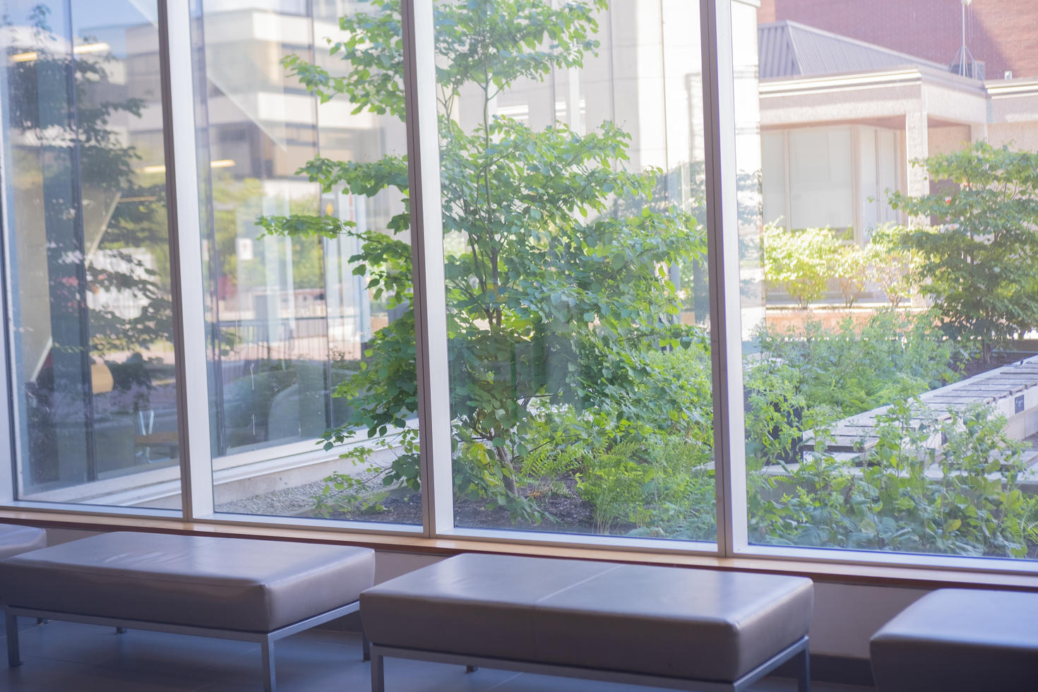 cushioned benches in campus building
