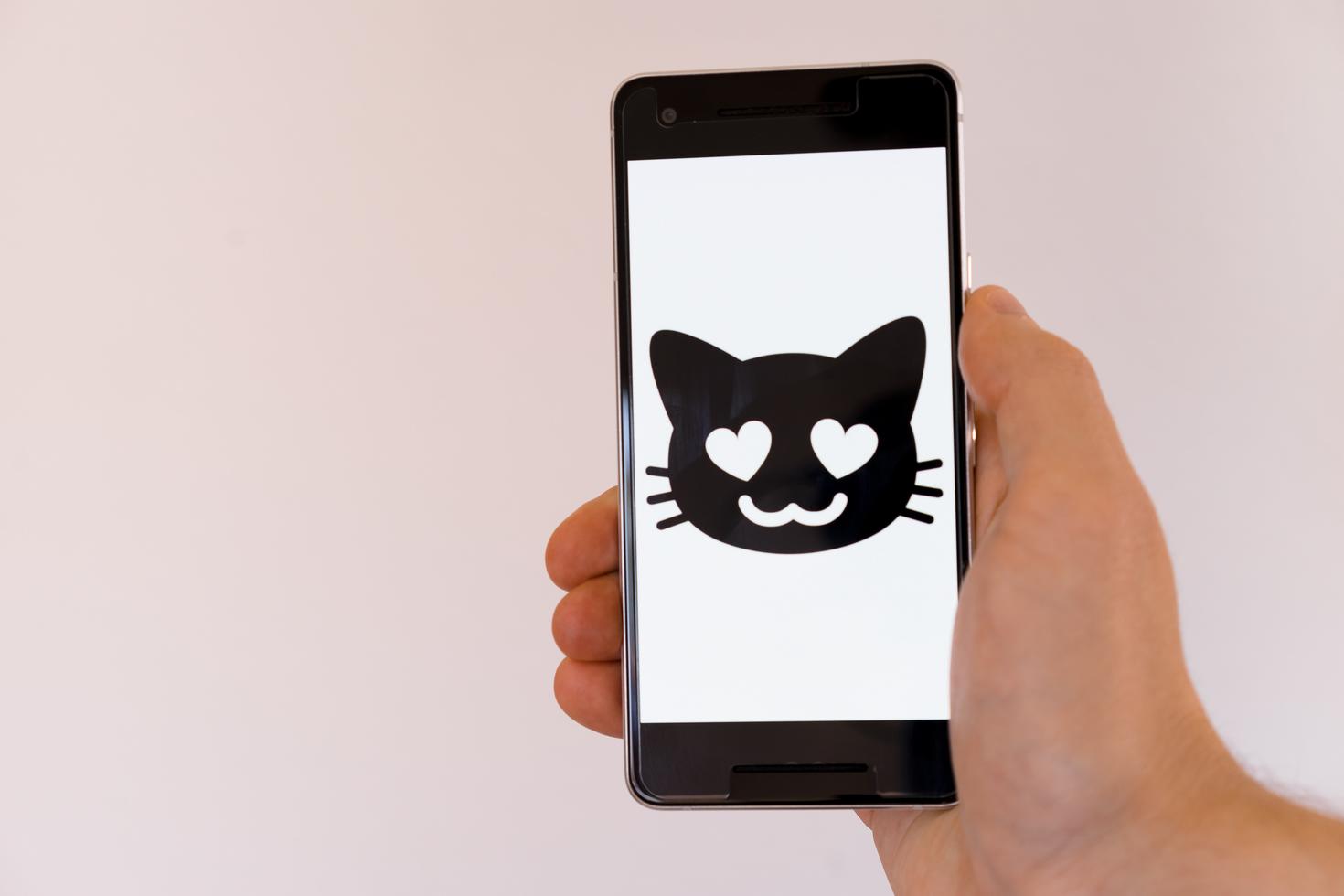 emoji of smiling cat on phone