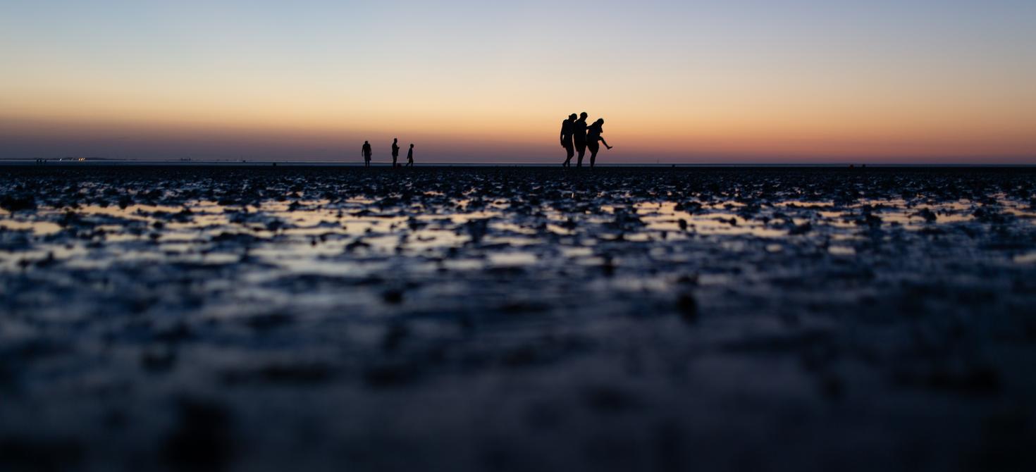 migrants walking across a field at sunrise