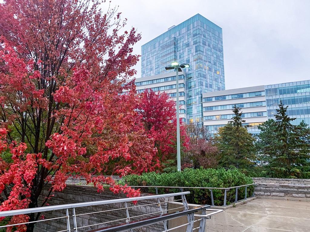 The LEED certified FSS building in the autumn