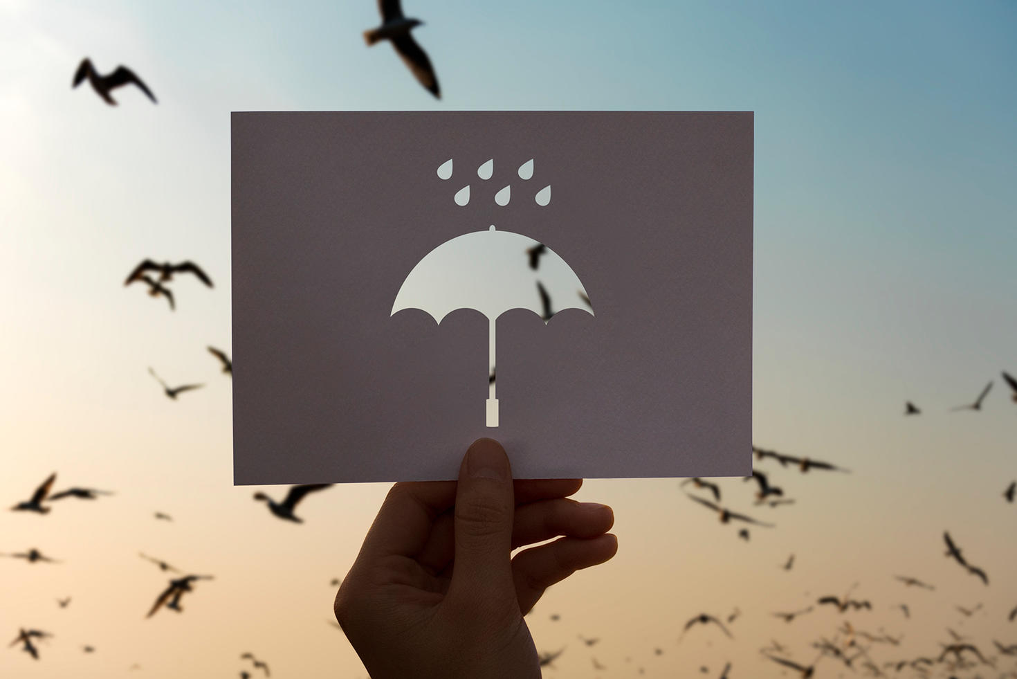 risk-management-insurance
