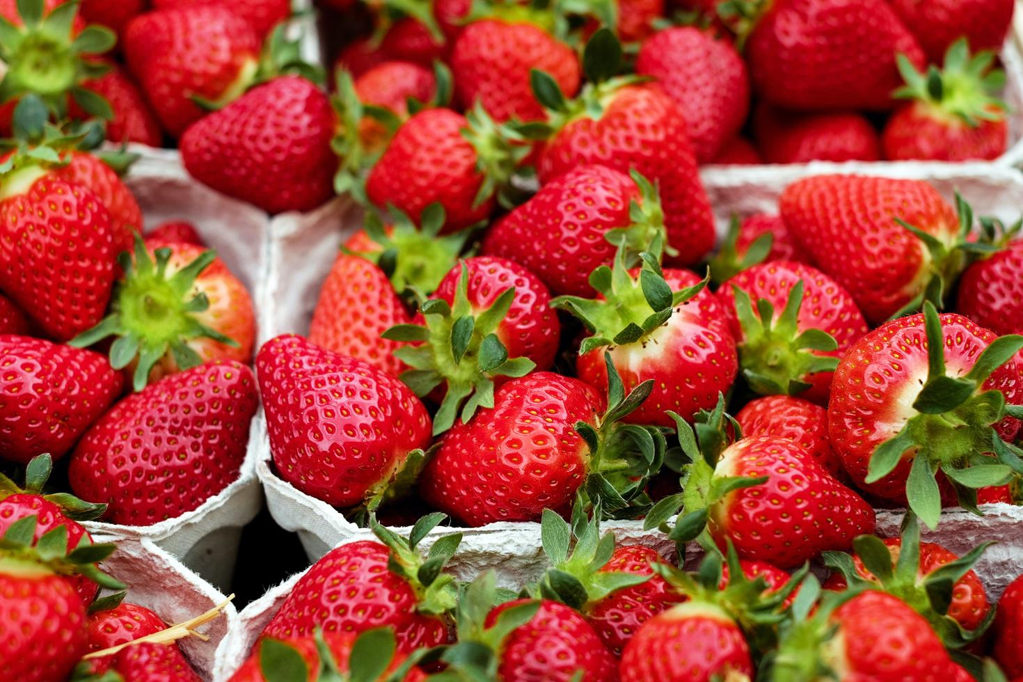 uOttawa scientists create sustainable, tech-driven fruit farming model 