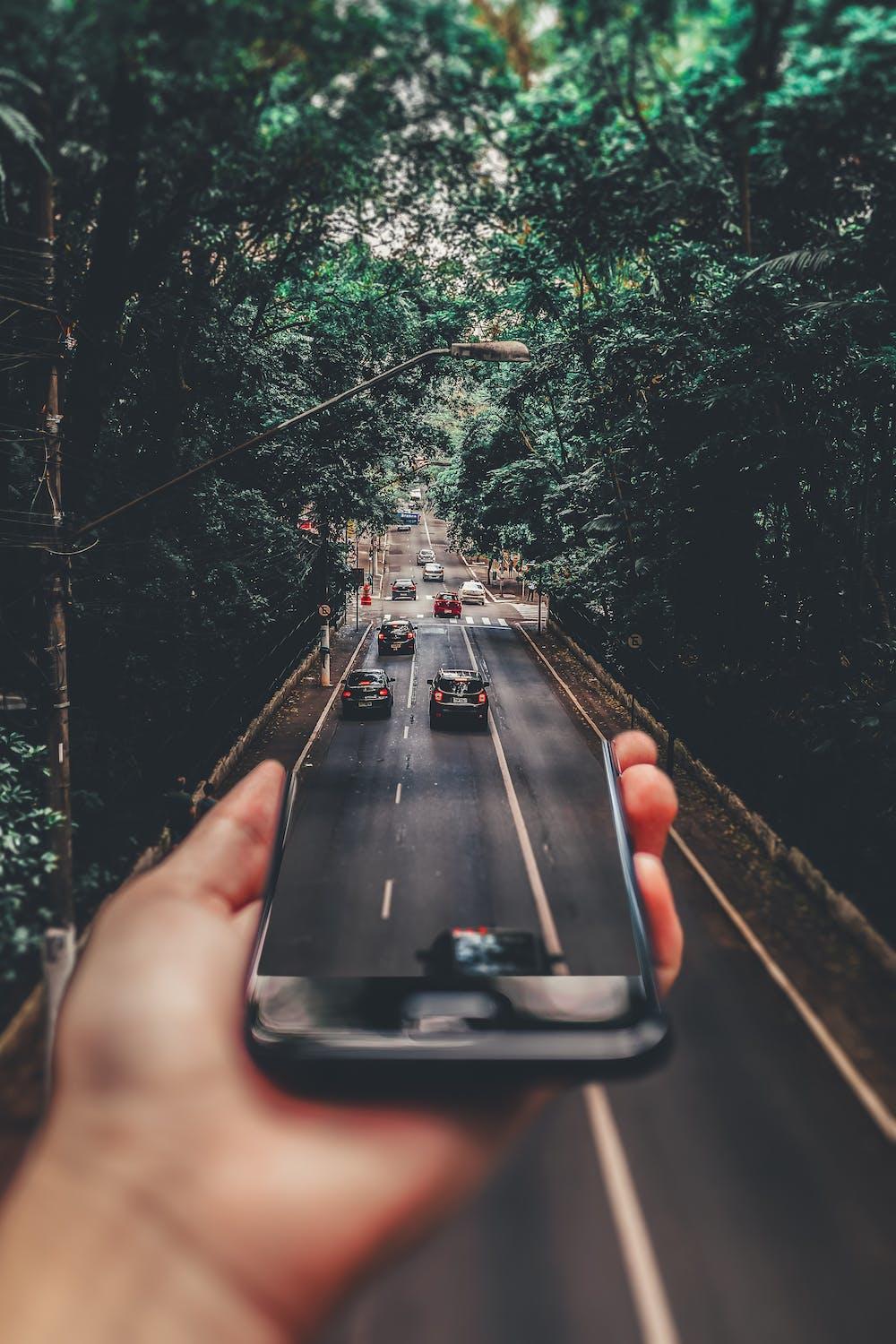 road with cars, immersive world