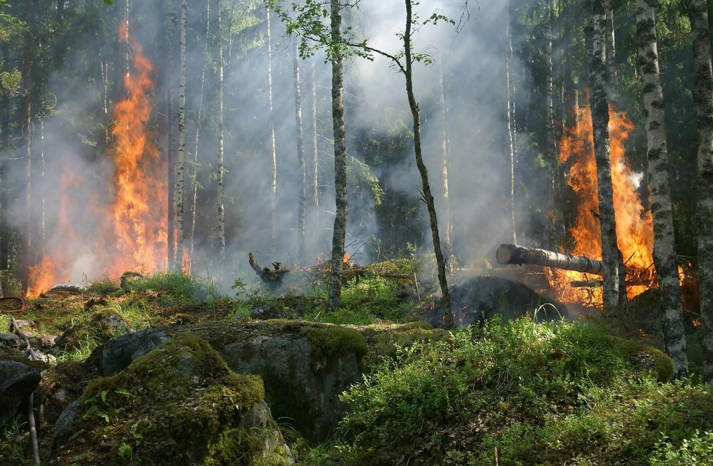 Drought and wildfire concerns rise as Canada navigates a shift from El Niño to La Niña