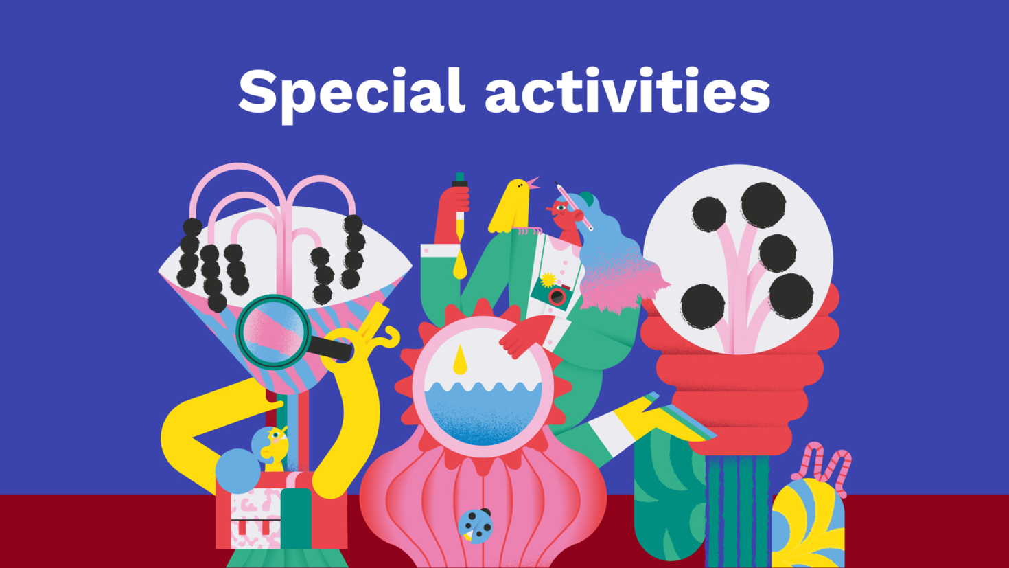 Special activities