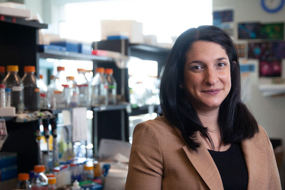 Dr. Natasha Kekre