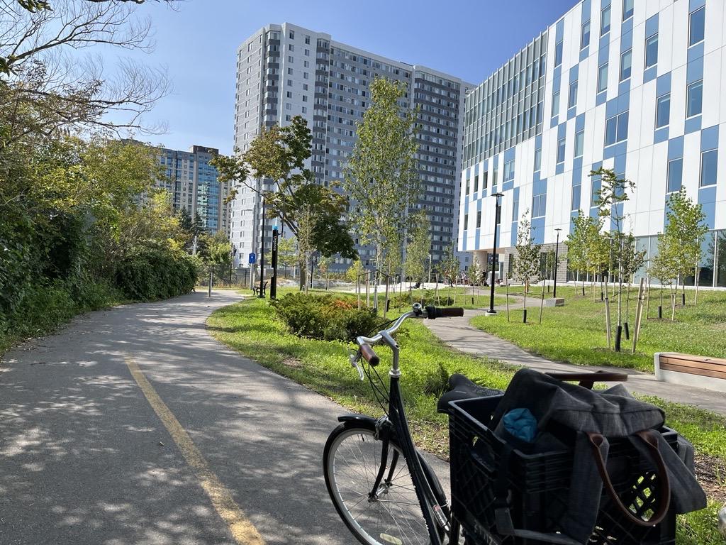 Bicycle on the bike path at Lees campus