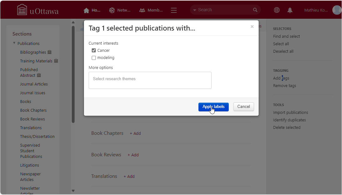 Tagging publication in UNIWeb version 2
