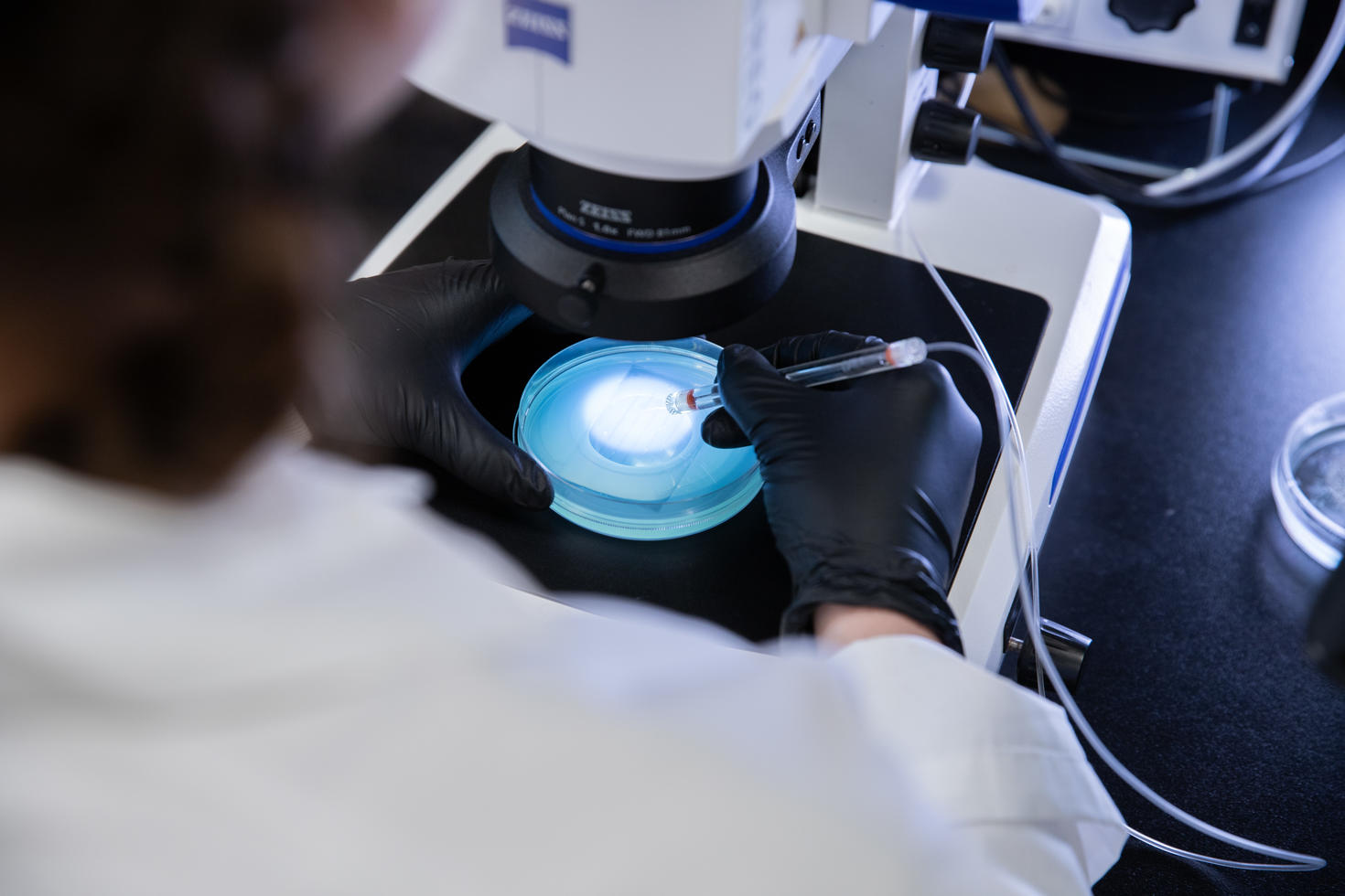 close-up on a person doing some testing in a microscope
