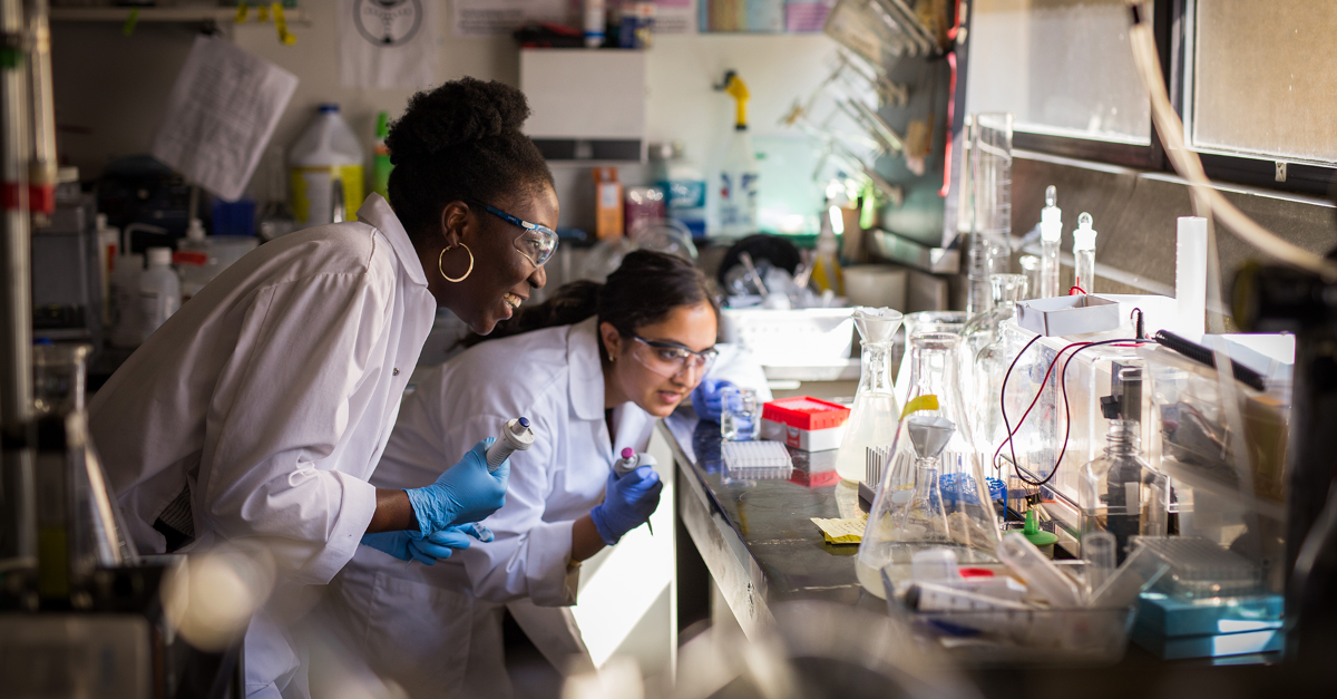 2 persons in a research lab