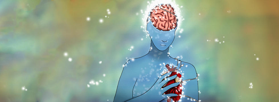 Illustration showing a woman's shape and her heart and brain