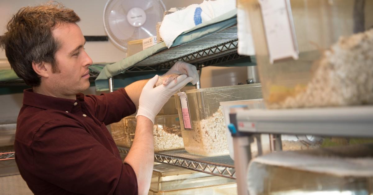 Dr. Matthew Pamenter holding a naked mole-rat