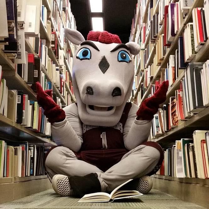 Gee gees mascot sitting down in library hallway reading a book.