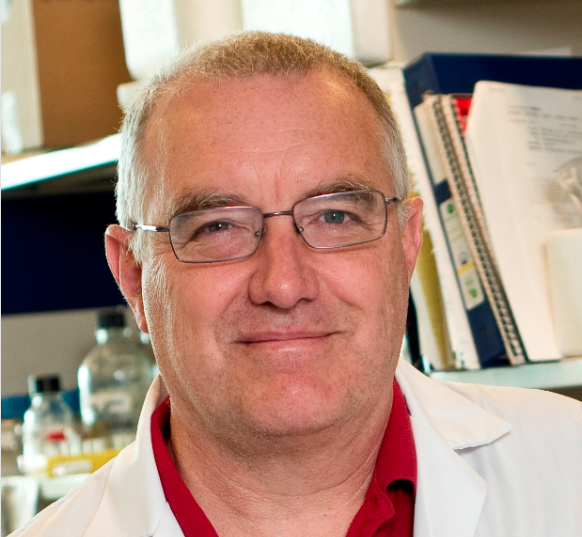 Headshot of Dr. John Bell