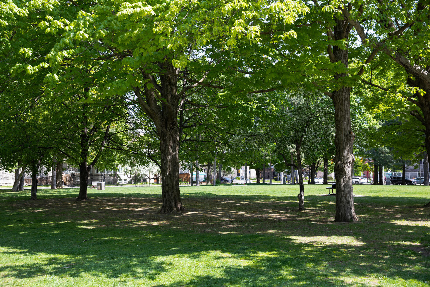 Tabaret lawn