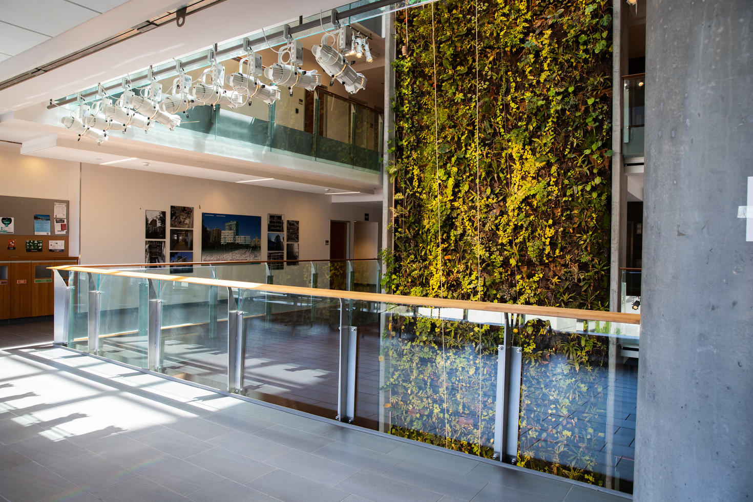 Living wall