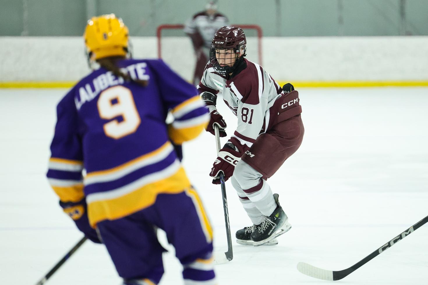 Gee-Gees women's hockey