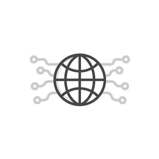 globe icon