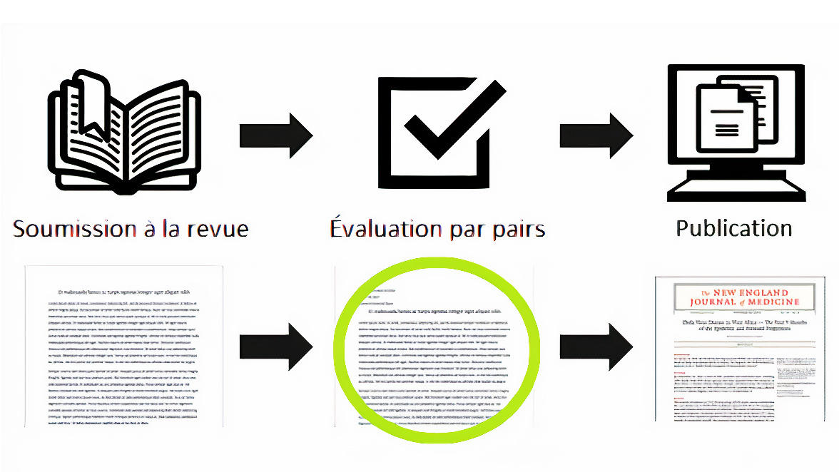 Un diagramme montrant les trois versions d'un article : soumission à une revue, examen par les pairs et publication.