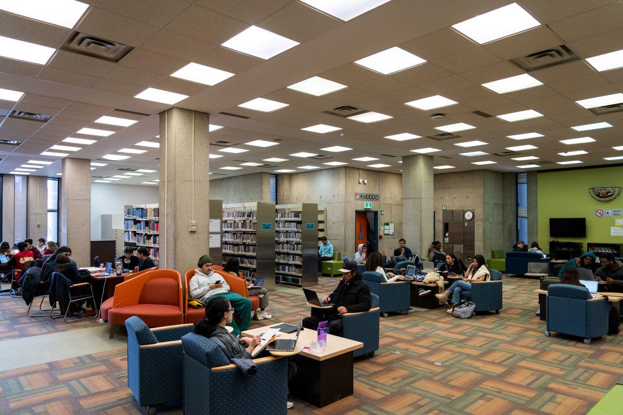 Personnes en train d’étudier à la bibliothèque Morisset.
