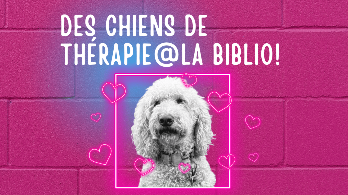 Chien de Thérapie