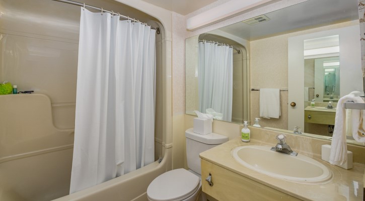 Rideau bathroom