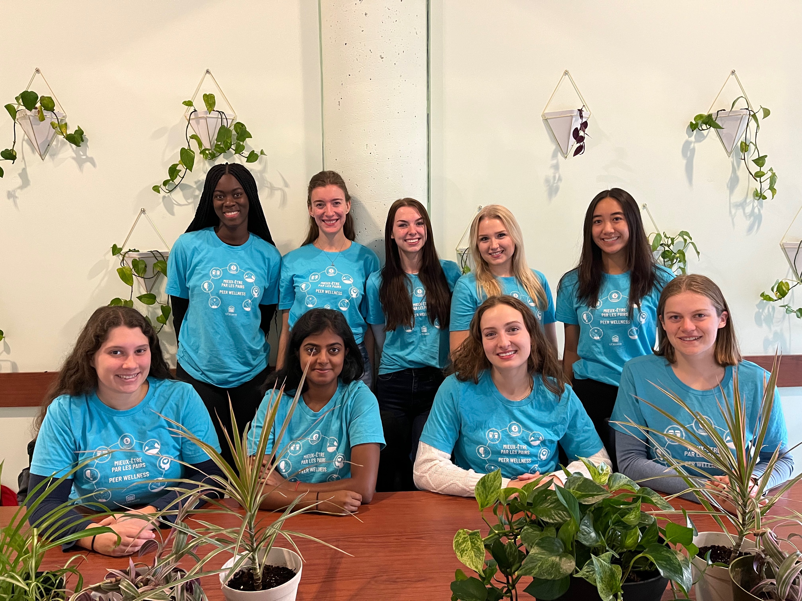 health promotion volunteers