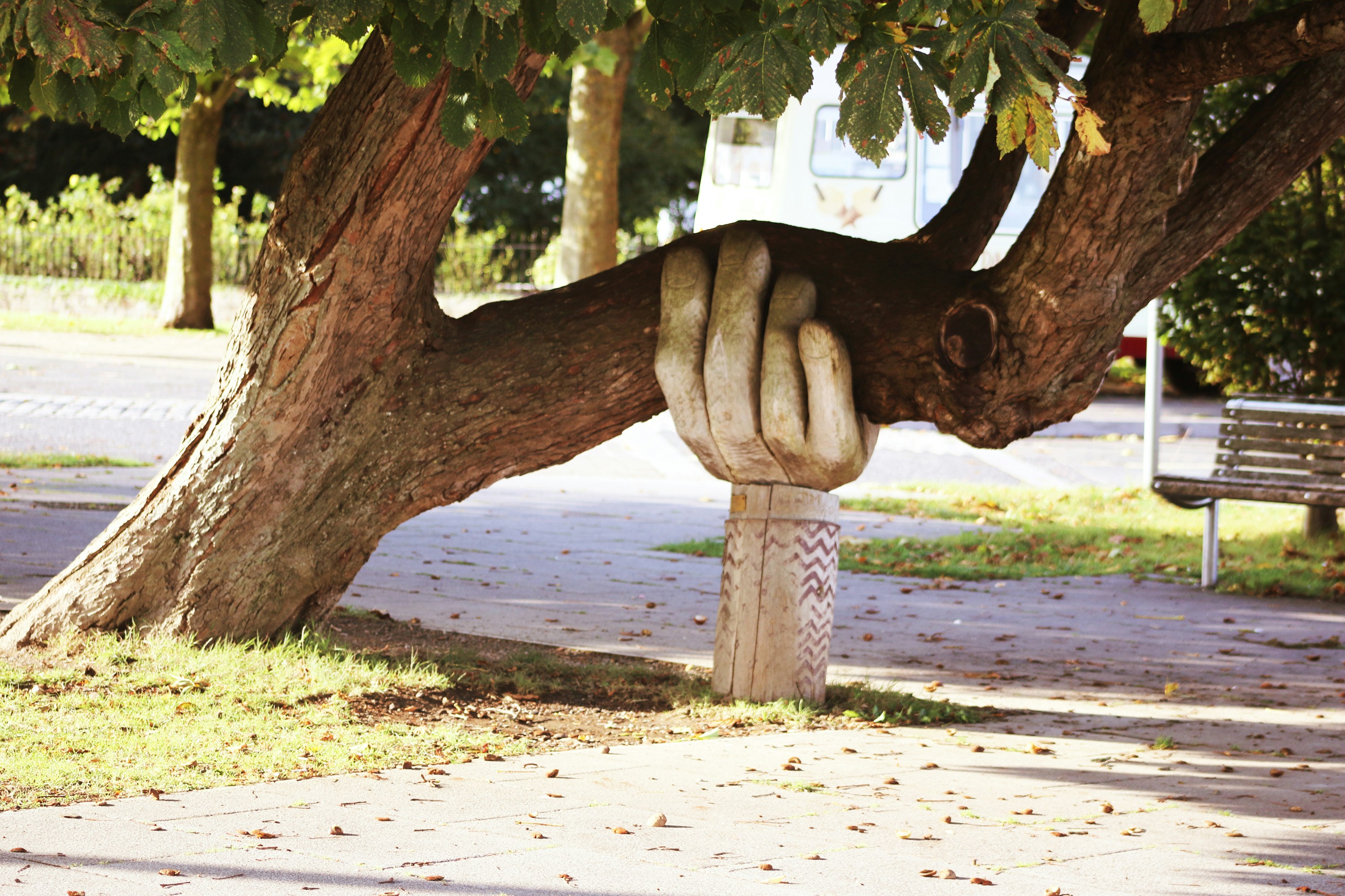 A sculpture of a large hand supporting the branch of a tree.