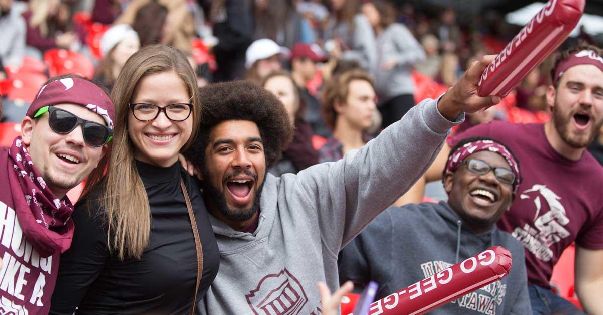 fans at football game
