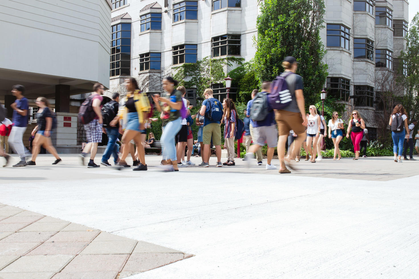 Students walking through campus.