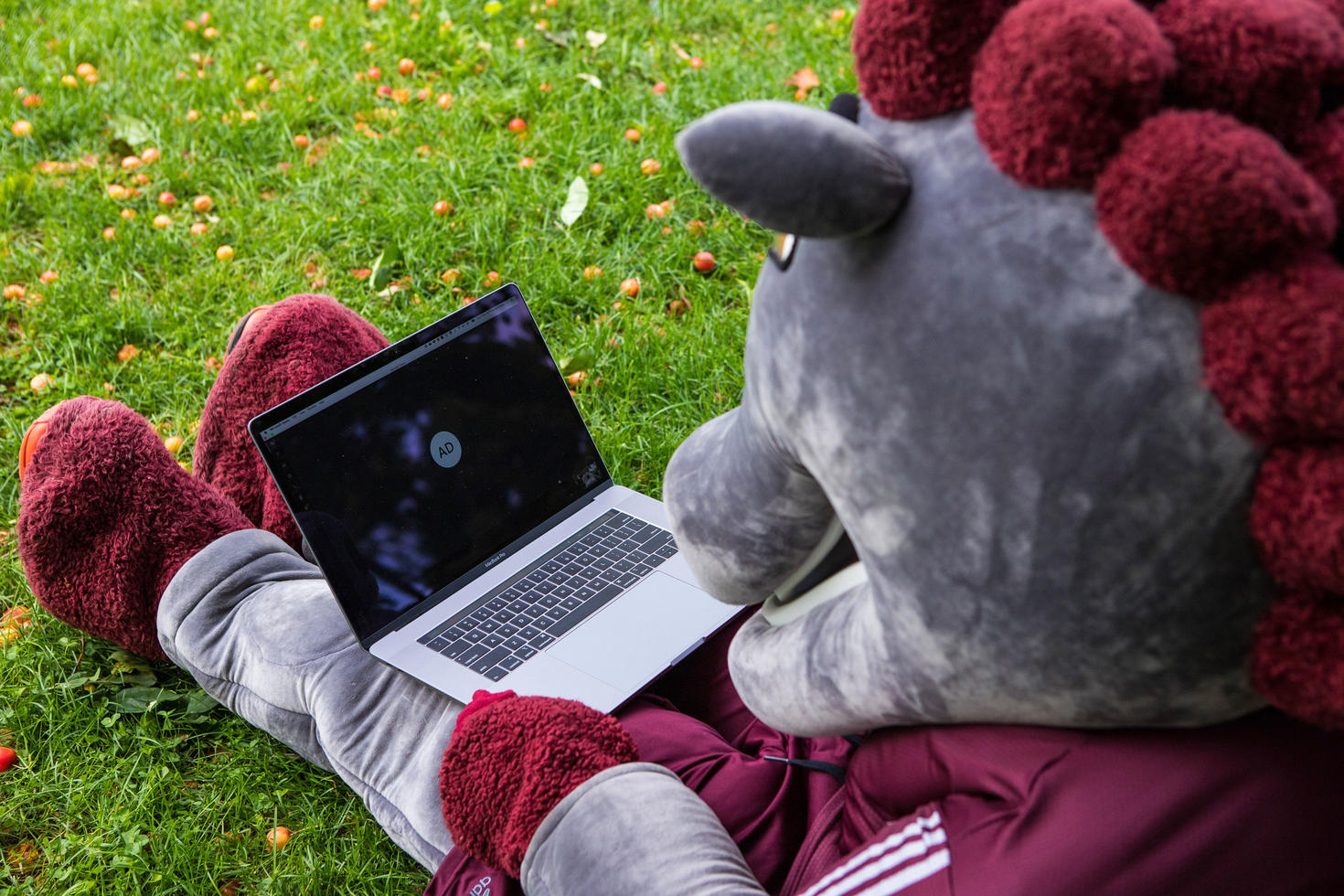 mascot working on laptop