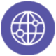 Globe icon