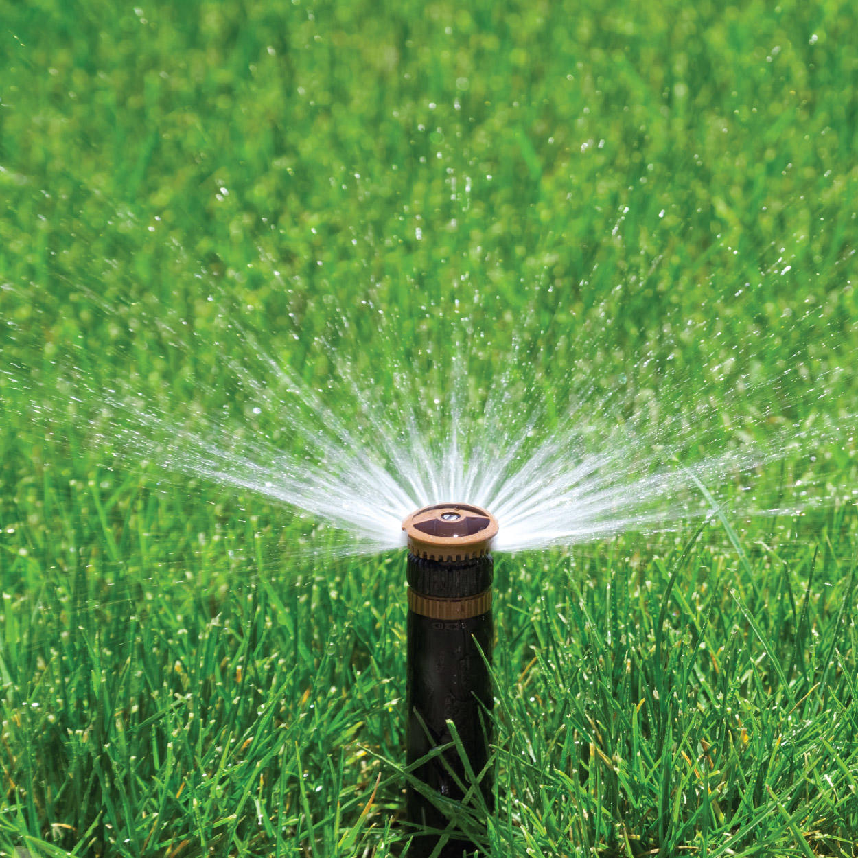 Irrigation system watering grass