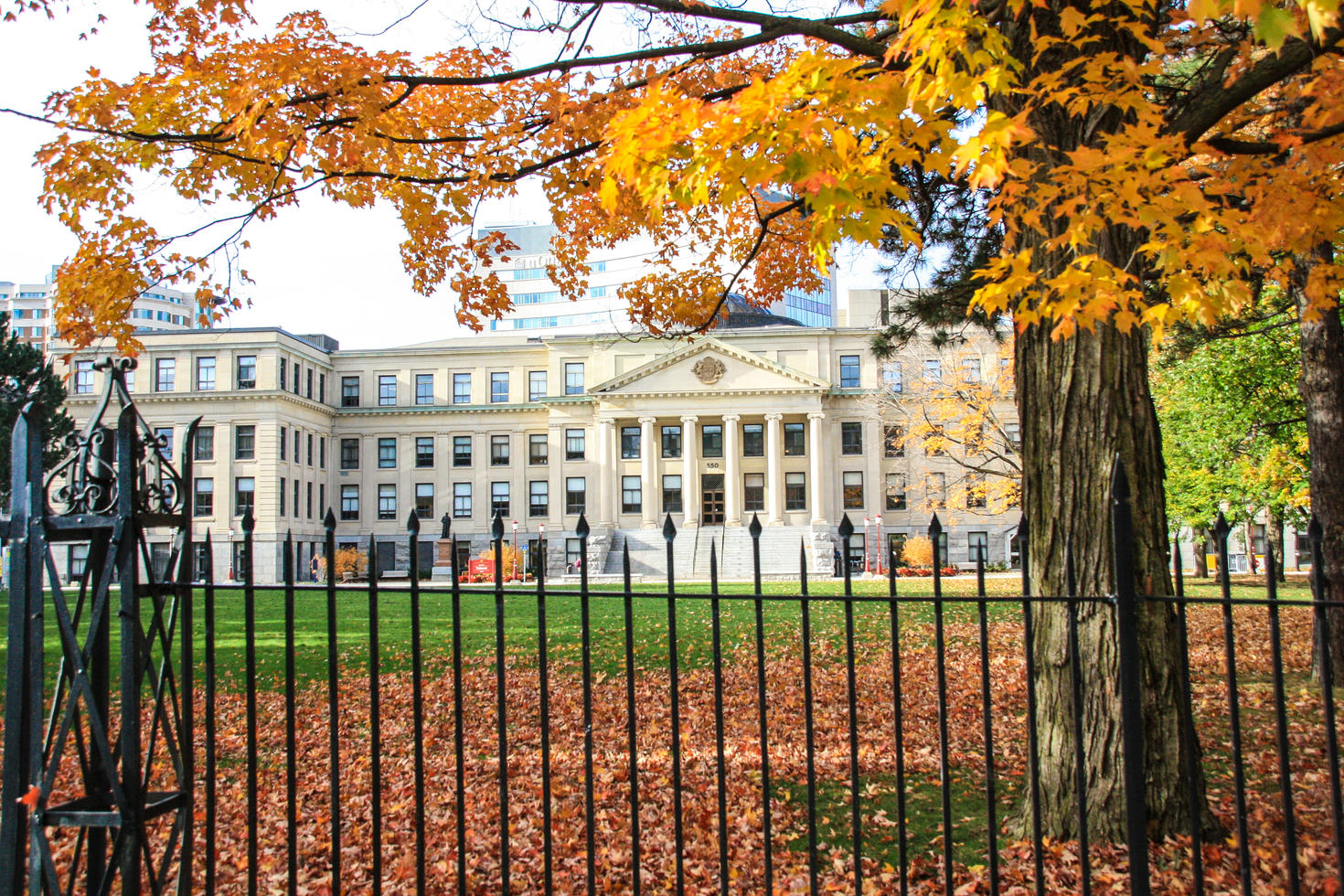 Tabaret building in the Fall with a black metal fence in front of the lawn and building