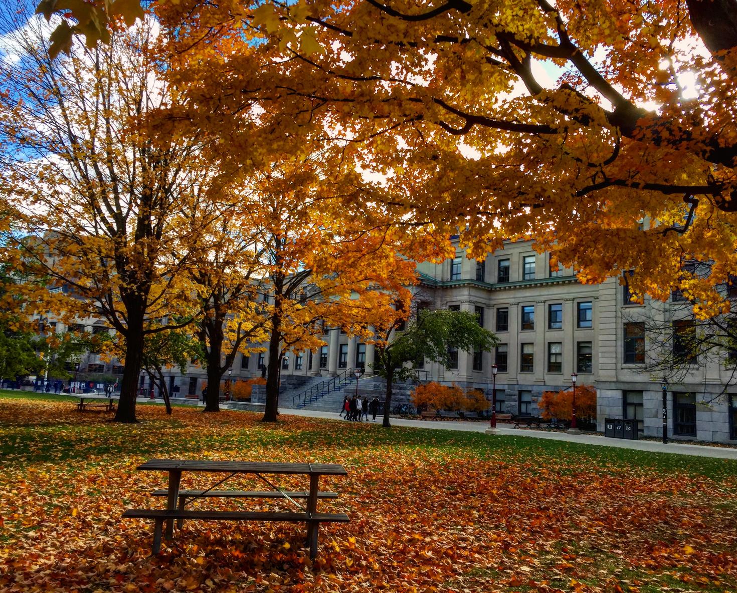 Tabaret building in the fall