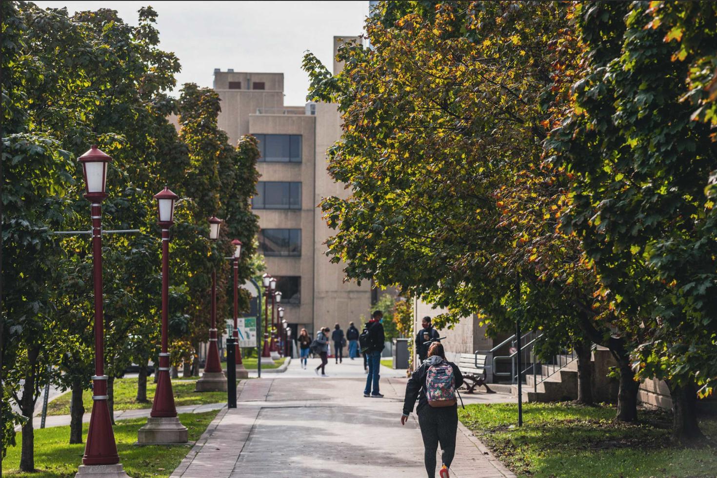 Students walking through campus