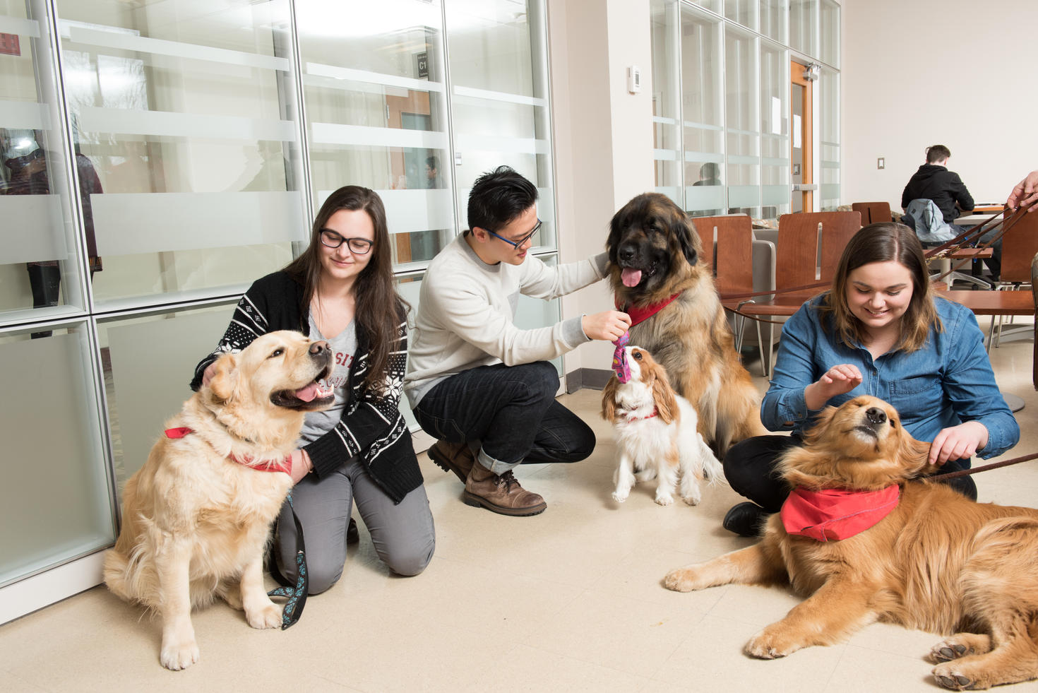 Therapy Dog Program | Campus life